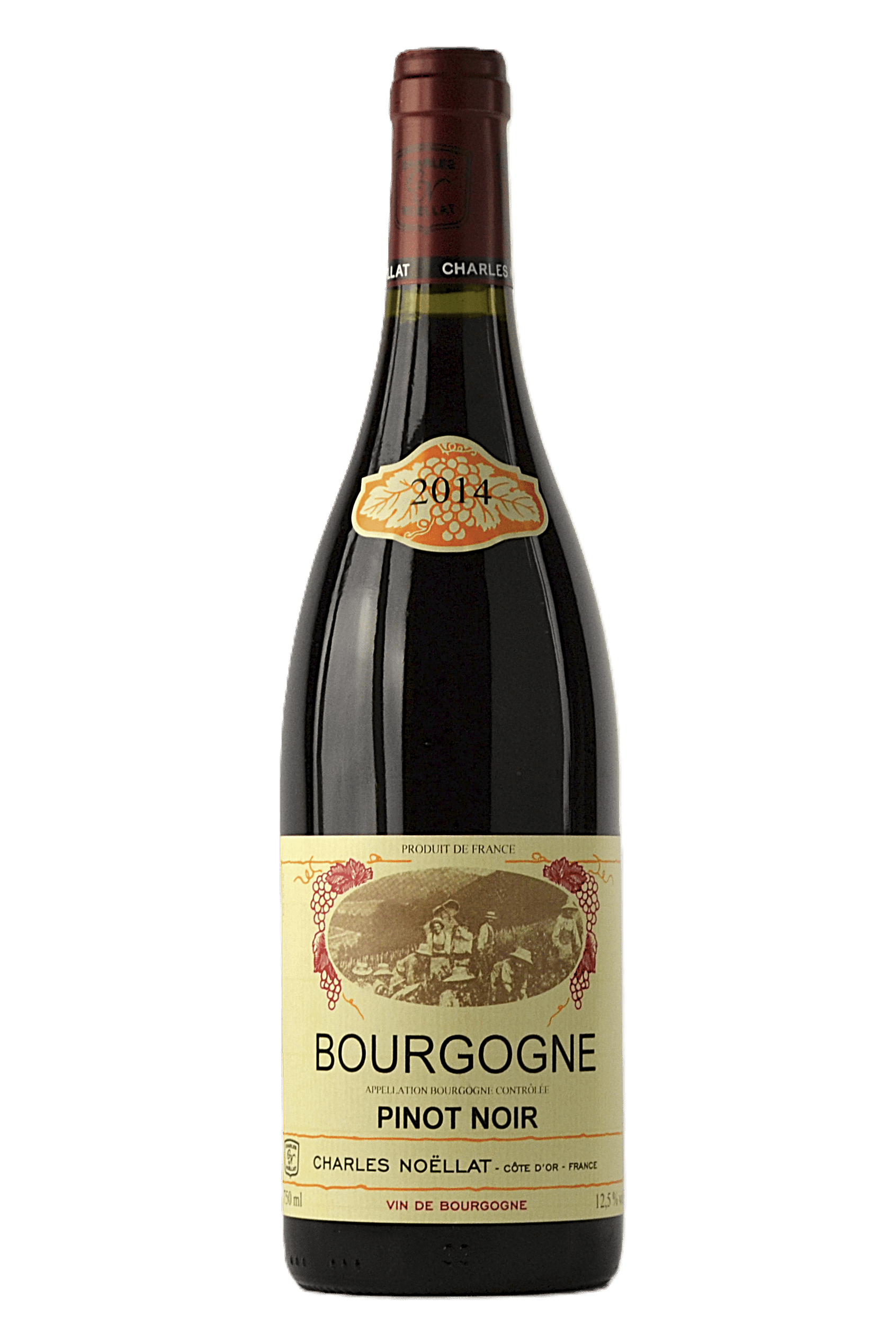 6984b0c07d766f19a368b48e_Charl